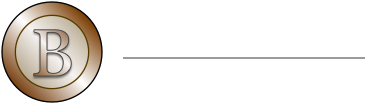 Bronze Construction Services Inc. Logo